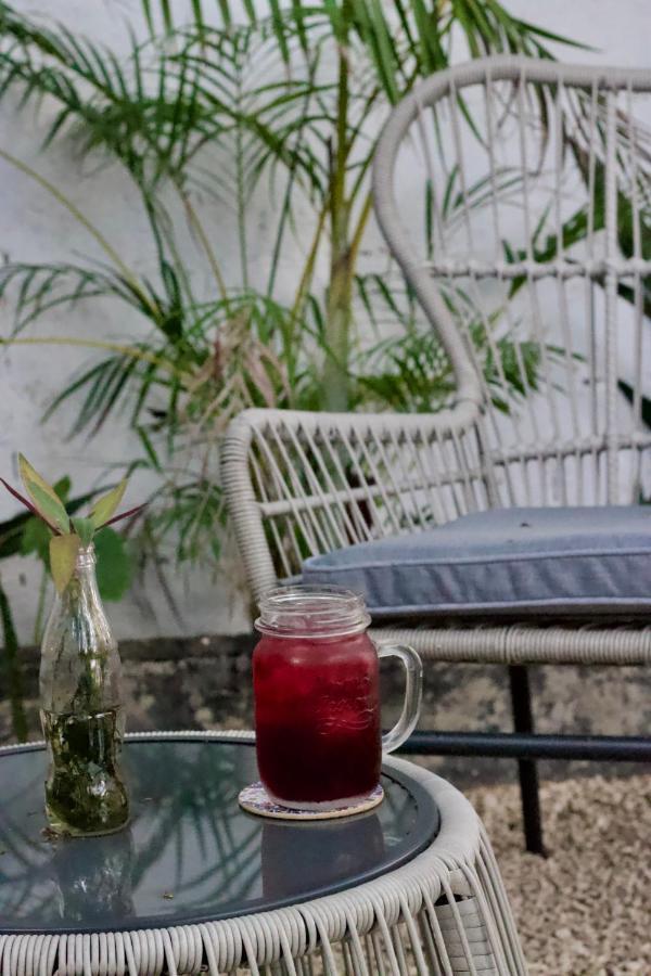 Acomodação com café da manhã  Casa Del Artista -